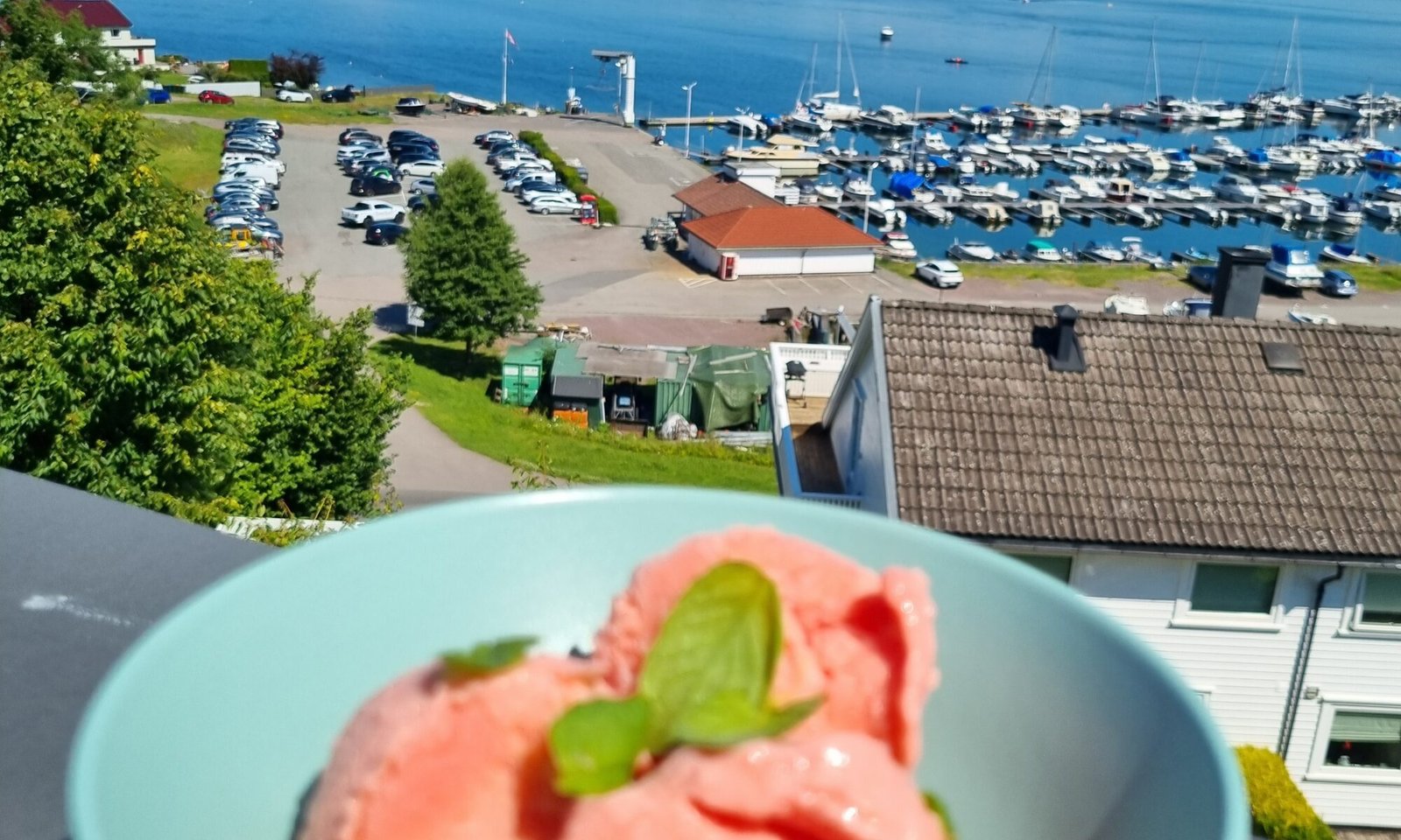 Vannmelonis severt på terrassen